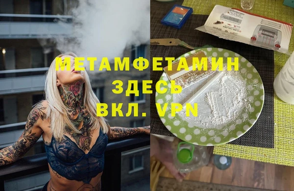 гидра Каменка
