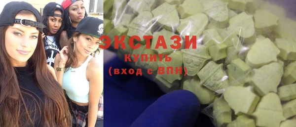 гидра Каменка