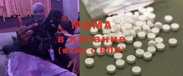 гидра Каменка