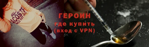 гидра Каменка