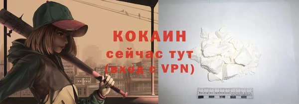 гидра Каменка
