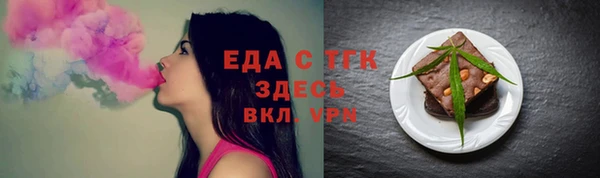 гидра Каменка