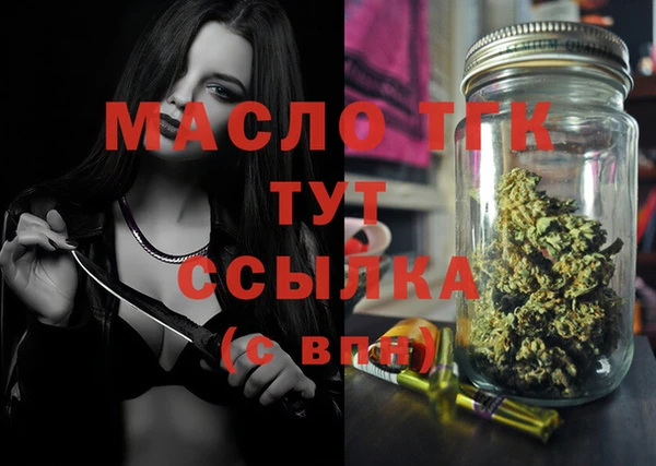 гидра Каменка