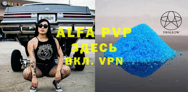 гидра Каменка