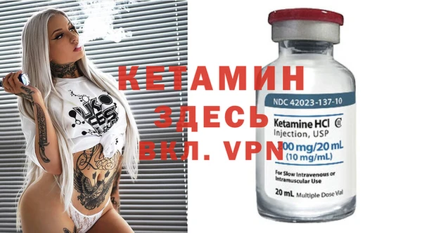 гидра Каменка