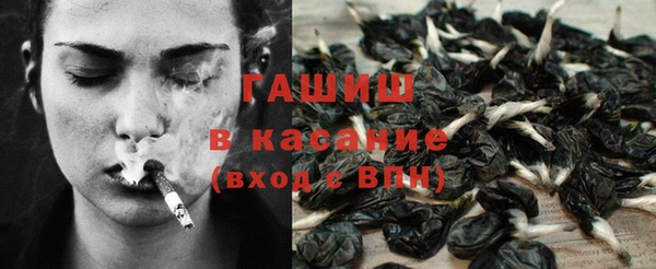 стаф Касимов