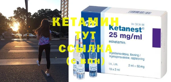 гидра Каменка