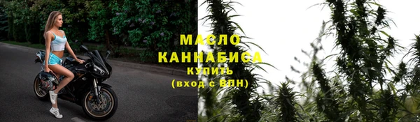 гидра Каменка