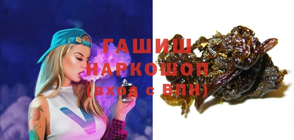 гидра Каменка