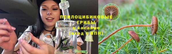 мескалин Каменногорск