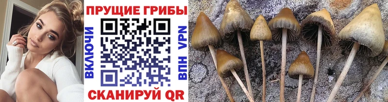 Галлюциногенные грибы MAGIC MUSHROOMS  Купить где  Заволжск 