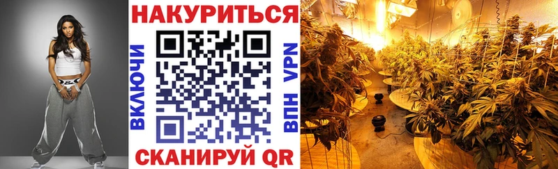 Бошки Шишки MAZAR Заволжск